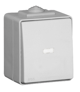 Rocker Push-button with Orienting Light - 12V