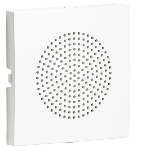 Cover Plate for Loudspeaker of 2” 