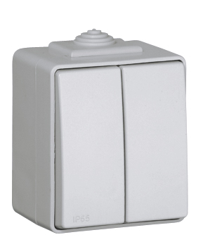 Double Two-way Switch